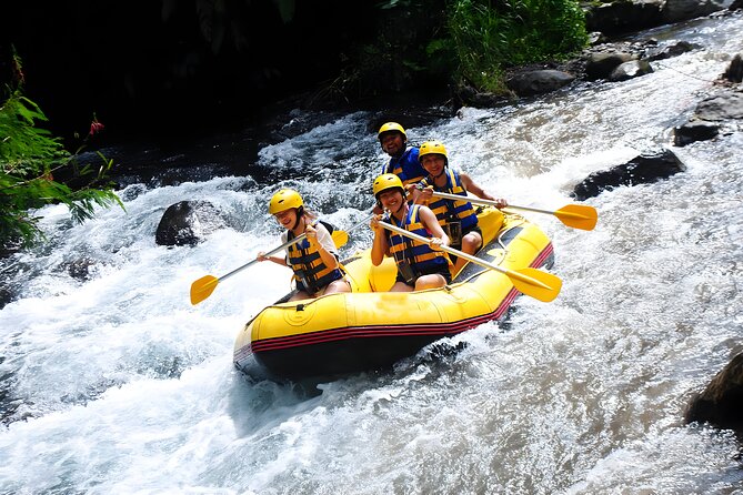 Telaga Waja White Water Rafting - With No Step or Stair : Bali Best Adventures - Guides, drivers, and the small-group feel (15 max)