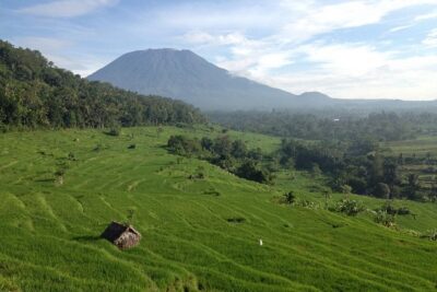 Tenganan Village Rice Field Trekking Tour - Kastala to the terraces: rice fields, bamboo, and subak lessons