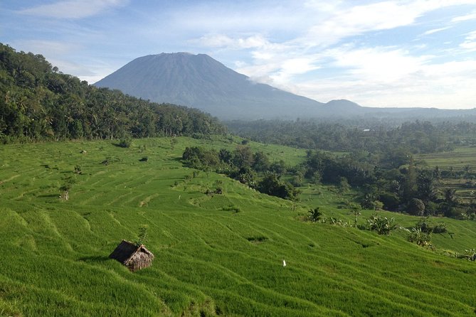 Tenganan Village Rice Field Trekking Tour - Kastala to the terraces: rice fields, bamboo, and subak lessons