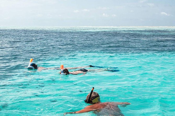 The Best 2-point Snorkeling in Padangbai: Blue lagoon and Tanjung jepun - Key points before you go