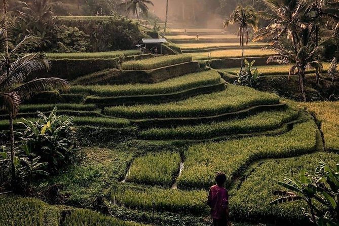 The Gates of Heavan - Ubud Jungle Swing & Waterfall Tour - What’s Included vs. What You Pay Extra For