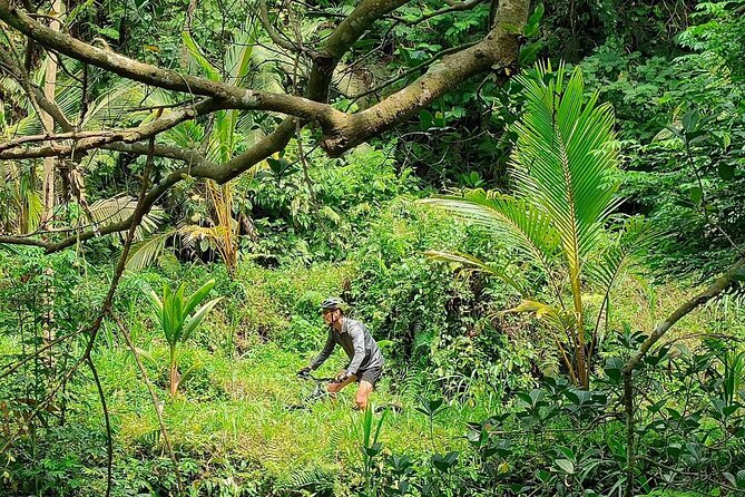 The Volcano Trail – Epic Volcano Cycling Adventure - Duration and effort: what 45 km feels like in real terms