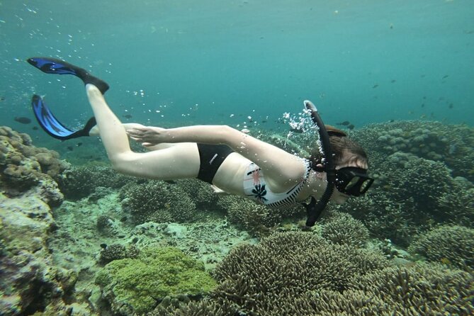 Three Islands Snorkeling (3 Spots) Manta Rays - From Lembongan - How this half-day snorkeling tour works (and why it’s good value)