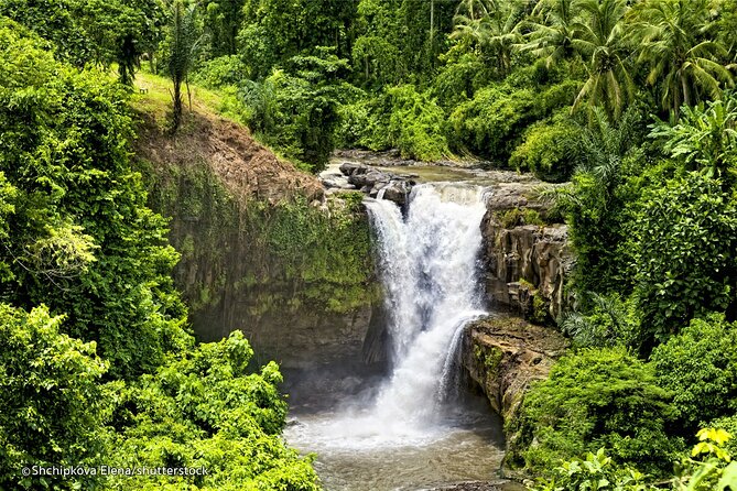 Three Main spot Bali Waterfall with Swing - Ubud Jungle Swing: the extra cost and why people still do it