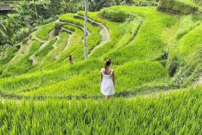 Tirta Empul temple, Jungle Swing and Waterfalls - Private Tour - Happy Swing Bali: what you’re paying for (and what to wear)