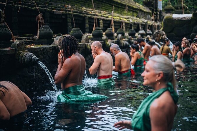 Top Ubud Attractions: Private Full-Day Guided Tour - A Private Day in Ubud: Pickup, Timing, and Comfort