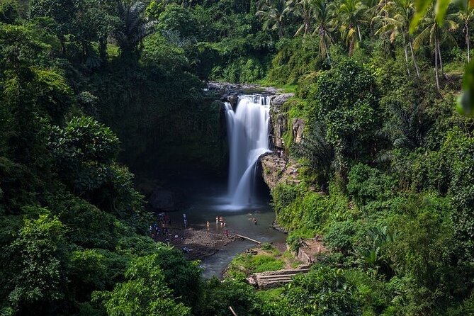 Top Ubud Attractions: Private Full-Day Guided Tour - Tegenungan Waterfall: The One Extra Admission and Why It’s Worth It