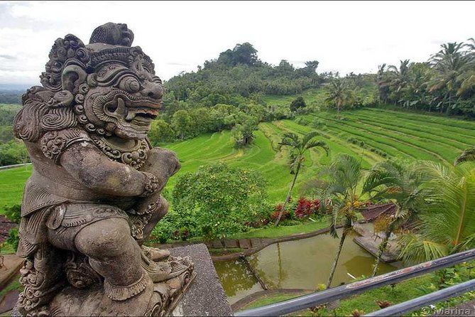 Tour: Besakih Temple-Kintamani Volcano-Water temple&Rice Terrace - Jambul Hill and the Bali Garden Edelweis photo combo