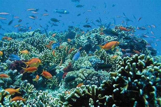 Tour Gate of Heaven at Lempuyang Temple - Blue Lagoon Snorkeling with lunch - Should you book the Lempuyang + Blue Lagoon snorkeling tour?