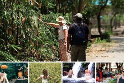 Transformative Journey of Holistic Self-Discovery - Water Soul Healing at Taman Beji Griya Waterfall (Plus Palmistry)