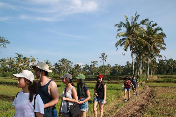 Trekking and Sightseeing tour with lunch - A 7.5-hour Ubud trek: what you’re paying for