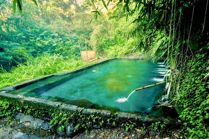 Trekking and Sightseeing tour with lunch - Coffee plantation and the river pool swing over rice terraces