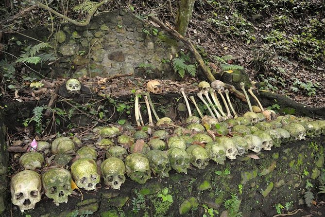 Trunyan Cemetery, Hot Spring, Penglipuran Village, and Waterfall Tour - Batur Natural Hot Springs: a reset between culture stops
