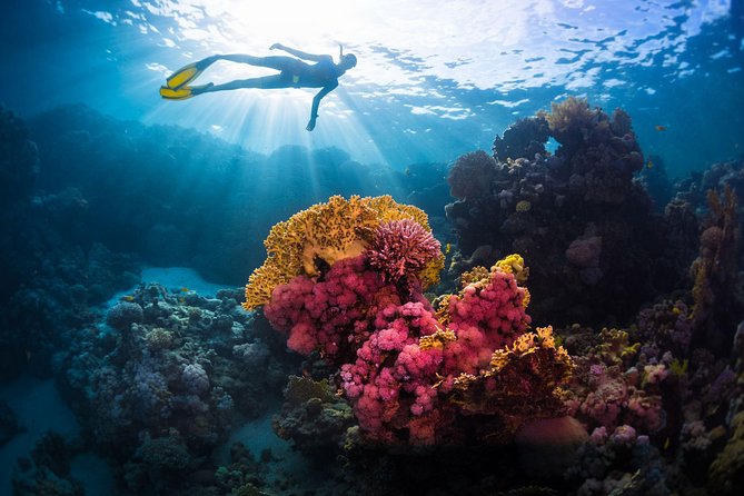 Try Freediving on Nusa Penida - Why Nusa Penida is a smart place to start breath-hold training