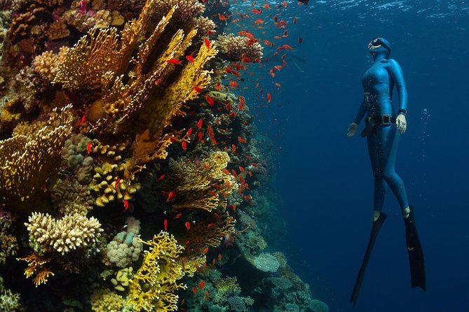 Try Freediving on Nusa Penida - Safety and coaching quality in a group of four