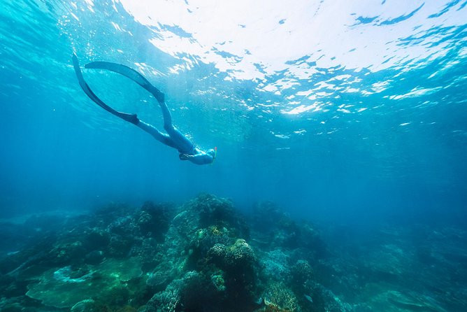 Try Freediving on Nusa Penida - Timing, meeting point, and how to plan your morning
