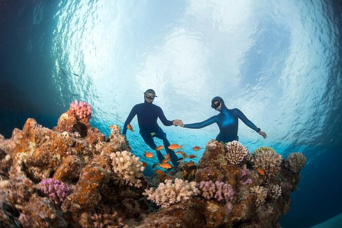 Try Freediving on Nusa Penida - Your home-reef session: where confidence turns into freedom
