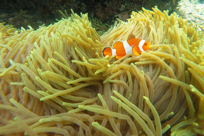 Try Scuba Diving at Padang Bai - What happens at Padang Bai on a typical day