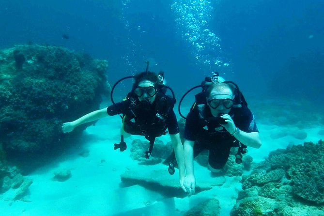 Try Scuba Diving at Padang Bai - The all-in-one package: what you get for $99.60