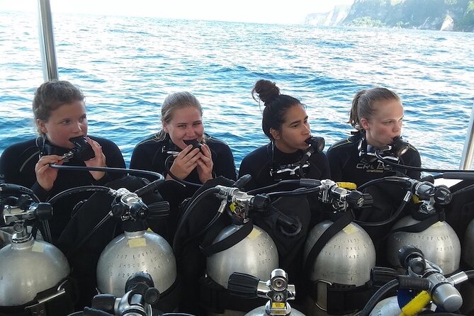 Try Scuba Diving for Beginners with manta rays (Non - Certified) - Key points at a glance