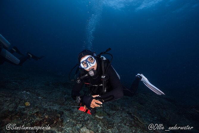 Try Scuba Diving for Beginners with manta rays (Non - Certified) - Why Nusa Penida manta-ray chances are a smart first-scuba goal