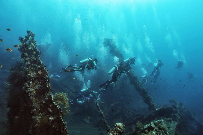 Tulamben Diving Tour Shipwreck USS Bali - Price and value: what your $102.57 buys (and what it doesn’t)