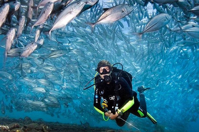 Tulamben Diving Tour Shipwreck USS Bali - What to expect during your two 35-minute underwater sessions at the wreck