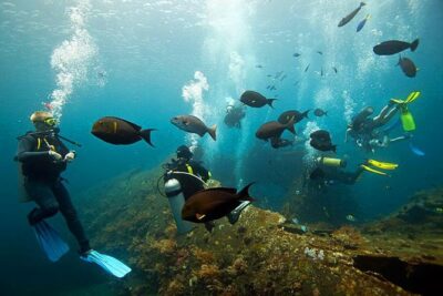 Tulamben Diving Tour Shipwreck USS Bali - The day’s schedule: pickup, gear, two underwater sessions, lunch, return