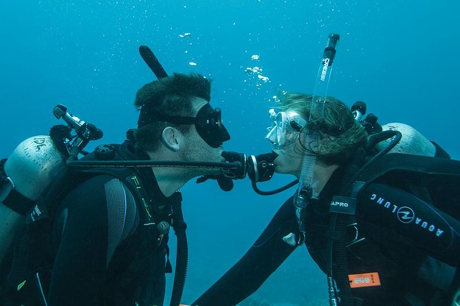 Tulamben Diving Tour Shipwreck USS Bali - Small-group logistics and the role of your pickup driver and instructors