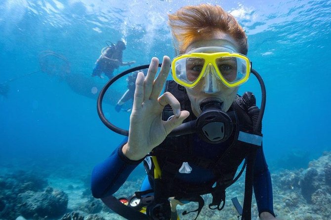 Tulamben Diving Tour Shipwreck USS Bali - Should you book Rio Bali Tours for the USS Liberty shipwreck day?