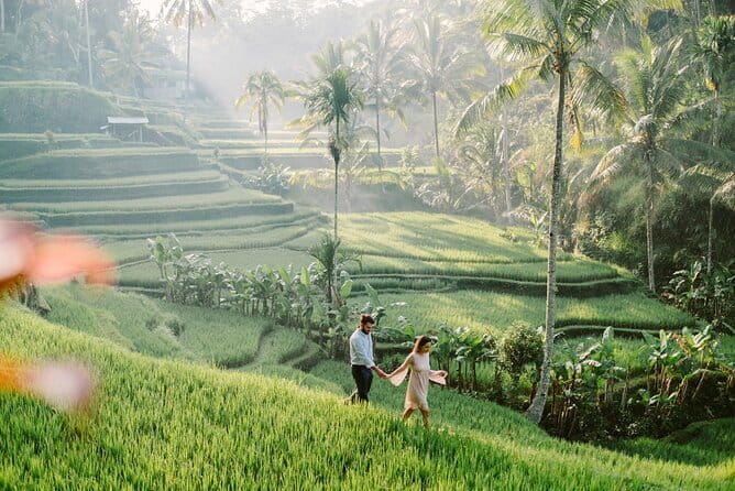 Ubud 1 Day Tour (Private & All-Inclusive) - The Service Style That Makes the Day Work