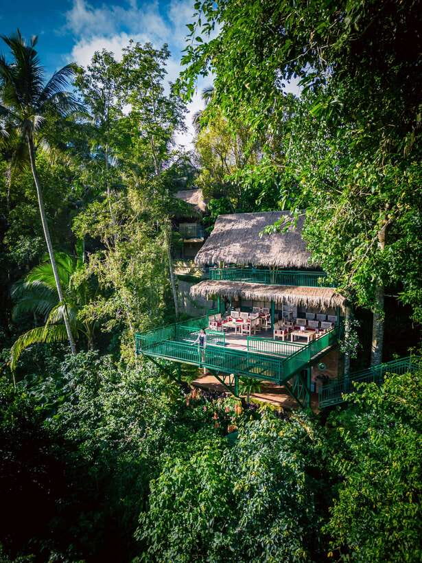 Ubud: Alas Harum Day-Pass, Swing, Sky Bike & Flying Fox - Inside Alas Harum Bali: the views are the main event