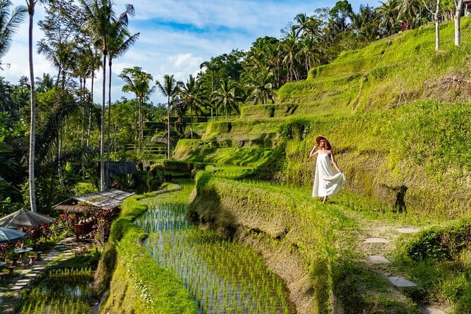Ubud All-Inclusive Tour with Swing and Lunch - Key points before you go