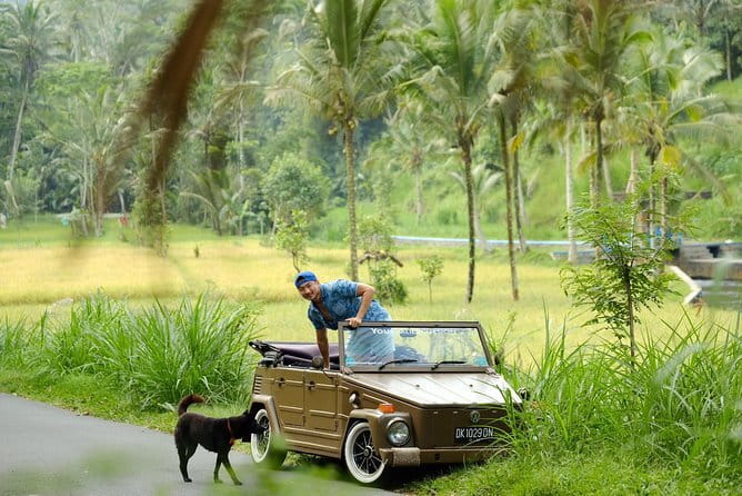 Ubud All-Inclusive Tour with Swing and Lunch - Tegenungan Waterfall: one hour to soak up the view