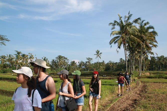 Ubud All-Inclusive Tour with Swing and Lunch - Tirta Empul Temple: where the sacred spring shapes the visit