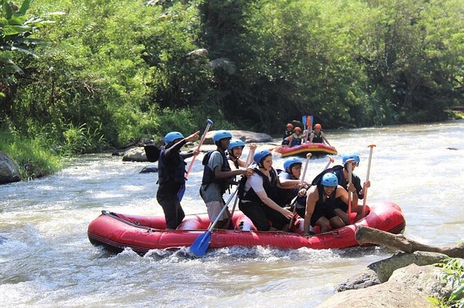 Ubud ATV Quad Bike with Ayung River Rafting Experience - The buffet lunch: the included break that actually helps