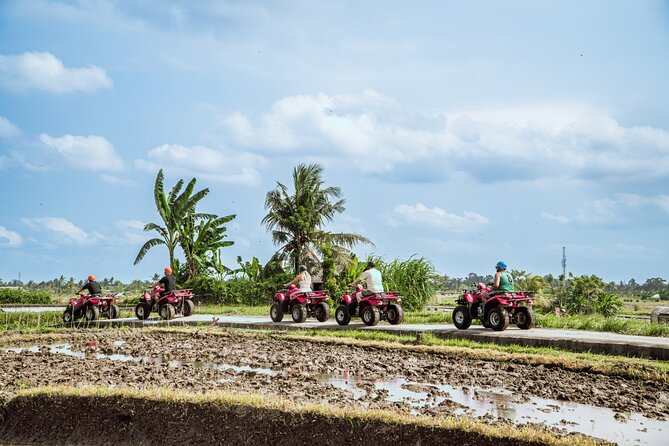 Ubud ATV Quad Bike with Infinity Pool Access All Inclusive - First Gear in Ubud: What This ATV Adventure Feels Like