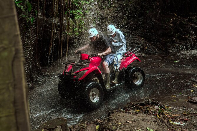 Ubud ATV Quad Bike with Infinity Pool Access All Inclusive - Who Should Book This ATV Experience (and Who Might Skip)