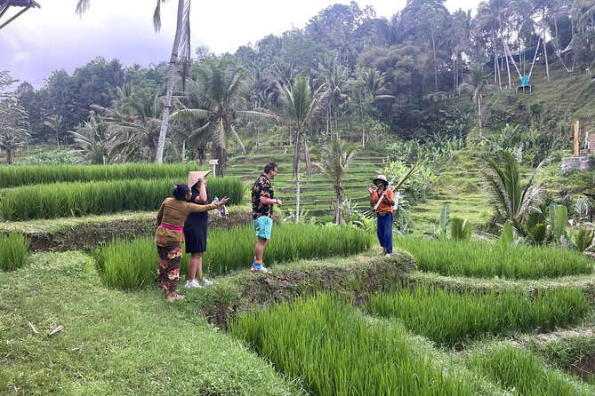 Ubud: ATV Rafting + Zipline, Swing, Sky Bike in Bali Rice Terrace - Who Should Book This (and Who Might Skip It)