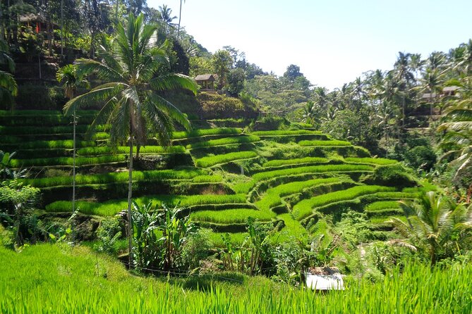 Ubud ATV ride Adventure and water rafting - Lunch, Transport, and the Pace That Helps You See More