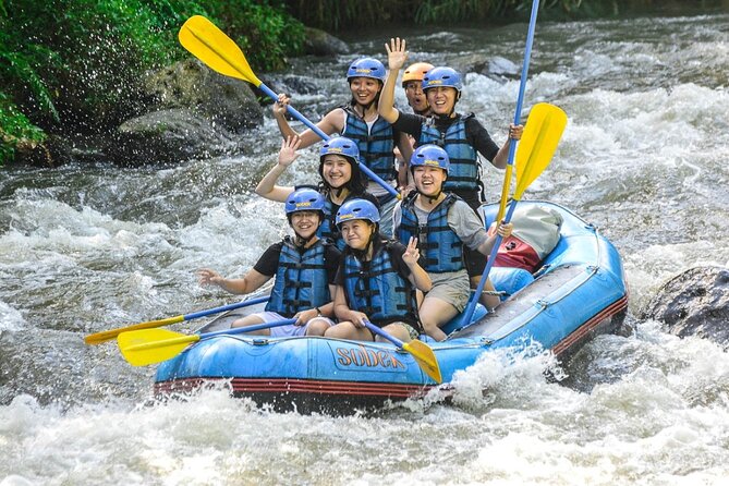 Ubud Ayung Water Rafting included Lunch and Transfer - Lunch by the Rice Fields: More Than Just Fuel