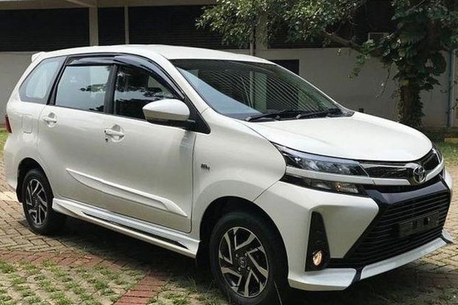 Ubud Bali Private Airport Transfers – Seamless & Stress-Free - Who This Transfer Fits Best (and Who Might Want Something Else)