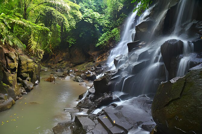 Ubud Bali: Rice Terrace, Waterfall and Tirta empul Day Tour - Why This Ubud Day Trip Feels Easier Than DIY