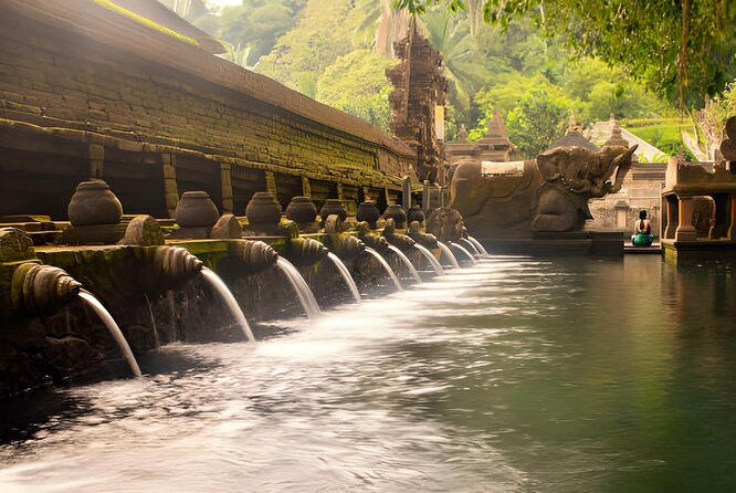 Ubud Bali: Rice Terrace, Waterfall and Tirta empul Day Tour - Price and Value: Paying Once for a Packed Day