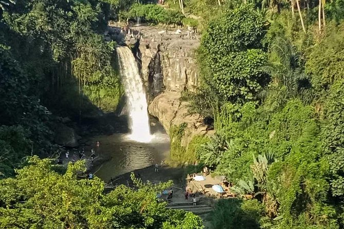 Ubud Best Tour - A Full Ubud Day That Mixes Waterfalls, Temples, and Rice Terraces