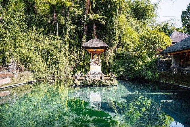 Ubud Best Tour - Tegalalang Rice Terrace: Terraces, Viewpoints, and Time for Photos