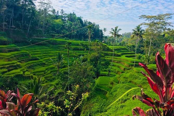 Ubud Best Tour - Price and Value: What Your $75 Covers (and What Costs Extra)