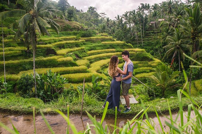 Ubud City Tour II: Monkey Forest, Palace, Art Market, and Rice Terrace - Sacred Monkey Forest Sanctuary: Macaques, Temples, and Photo Power