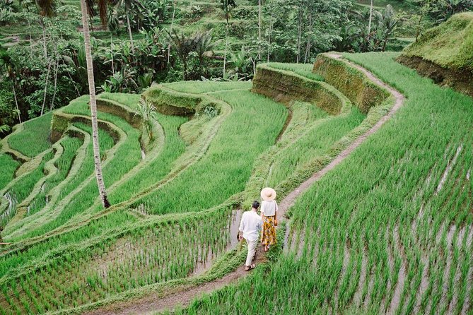 Ubud City Tour II: Monkey Forest, Palace, Art Market, and Rice Terrace - Tegalalang Rice Terrace: The Best Views, and the Only Extra Cost to Plan For