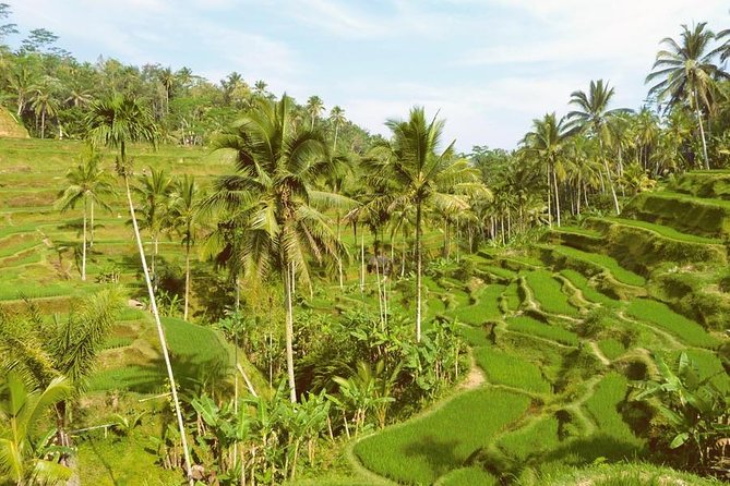 Ubud Combine Mount Batur Kintamani Tour - Guides, drivers, and the human touch that changes the day
